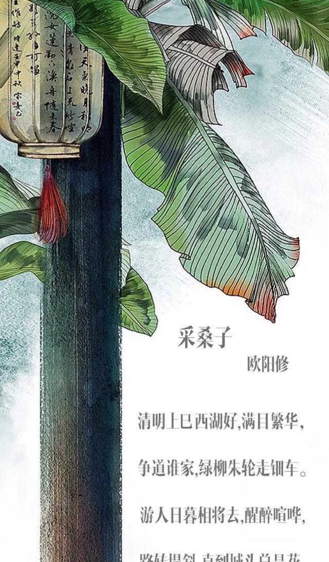 央视报道阜阳！嫩柳清风西湖好 游人相将踏青来